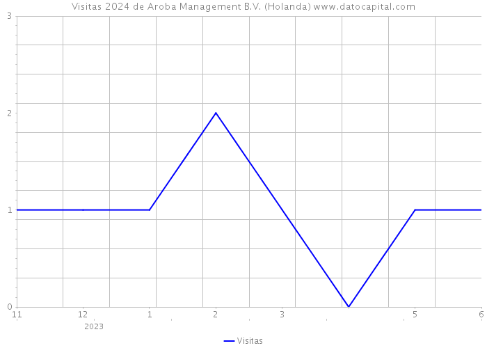 Visitas 2024 de Aroba Management B.V. (Holanda) 