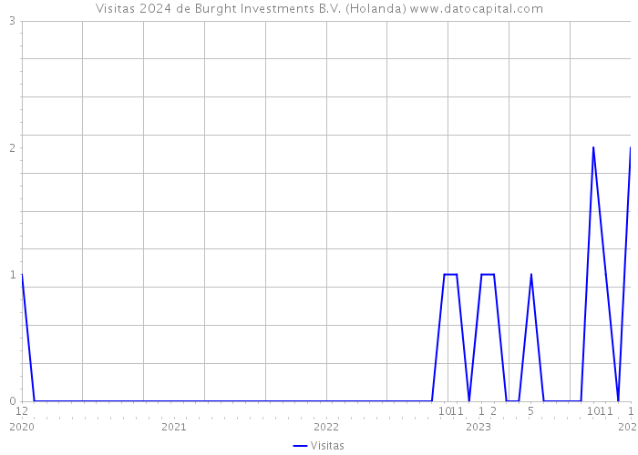 Visitas 2024 de Burght Investments B.V. (Holanda) 