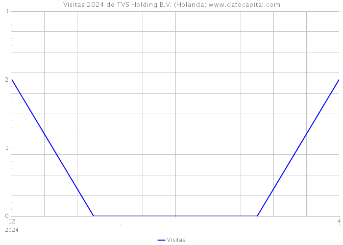 Visitas 2024 de TVS Holding B.V. (Holanda) 
