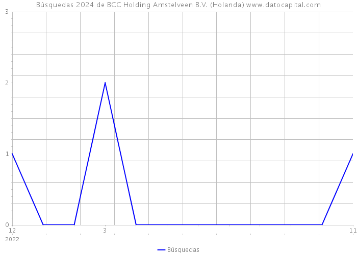 Búsquedas 2024 de BCC Holding Amstelveen B.V. (Holanda) 