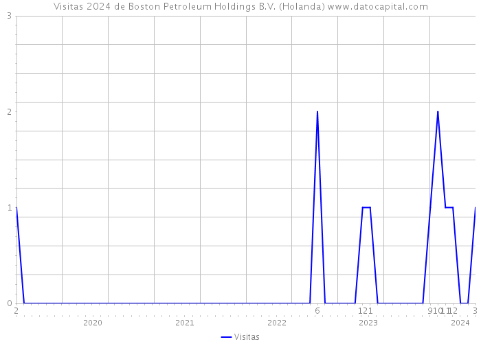 Visitas 2024 de Boston Petroleum Holdings B.V. (Holanda) 