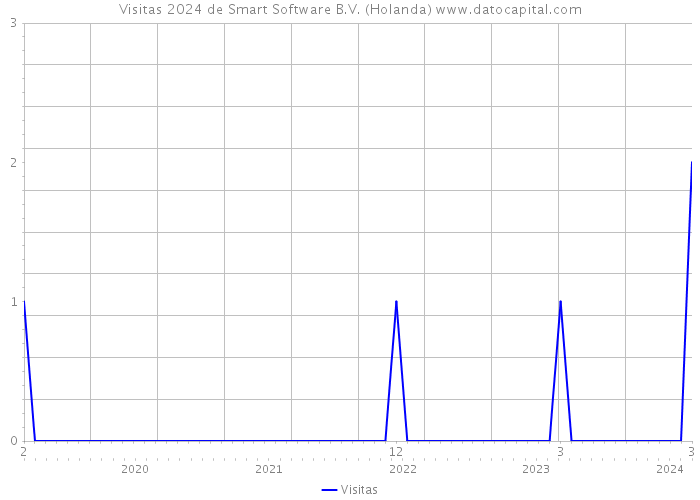 Visitas 2024 de Smart Software B.V. (Holanda) 