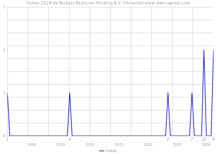 Visitas 2024 de Budget Bedrijven Holding B.V. (Holanda) 