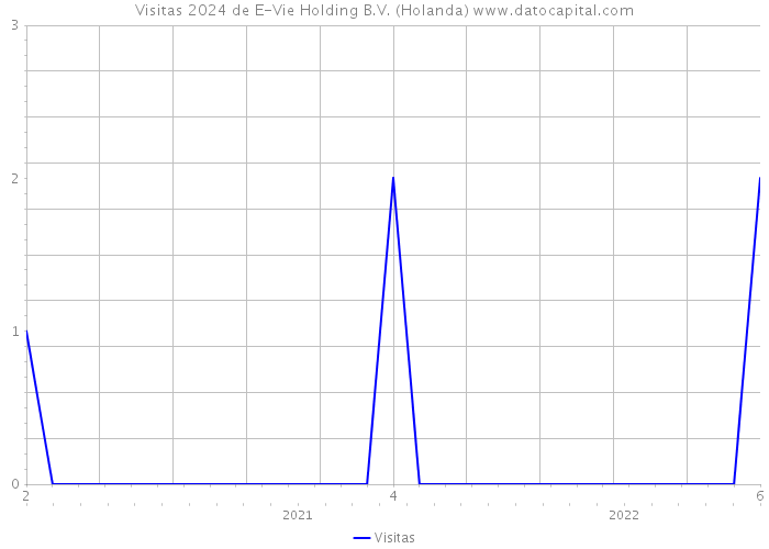 Visitas 2024 de E-Vie Holding B.V. (Holanda) 