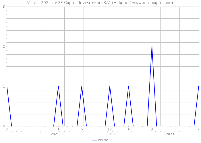Visitas 2024 de BF Capital Investments B.V. (Holanda) 