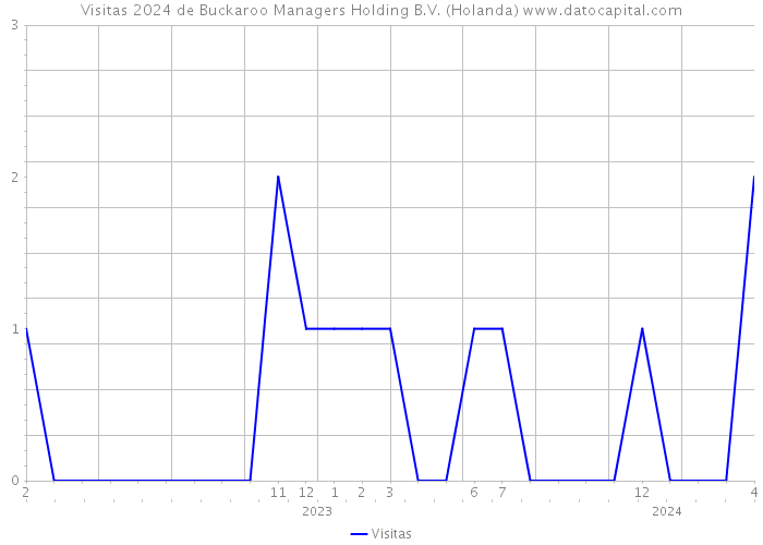 Visitas 2024 de Buckaroo Managers Holding B.V. (Holanda) 