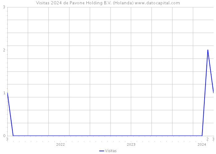 Visitas 2024 de Pavone Holding B.V. (Holanda) 
