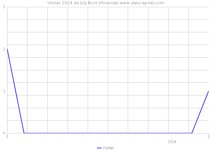 Visitas 2024 de Lily Boot (Holanda) 