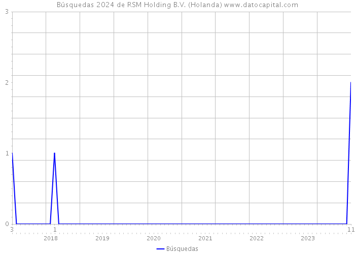 Búsquedas 2024 de RSM Holding B.V. (Holanda) 