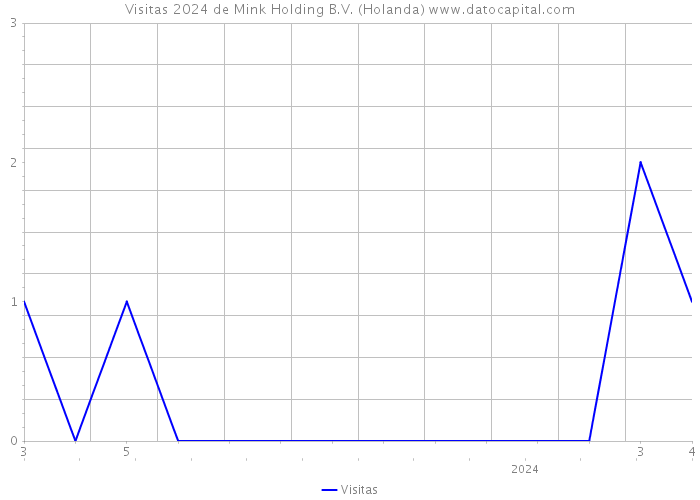 Visitas 2024 de Mink Holding B.V. (Holanda) 