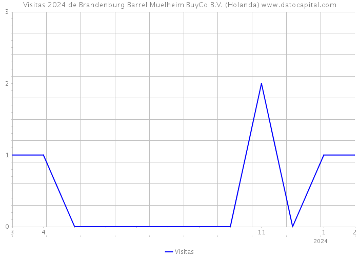 Visitas 2024 de Brandenburg Barrel Muelheim BuyCo B.V. (Holanda) 