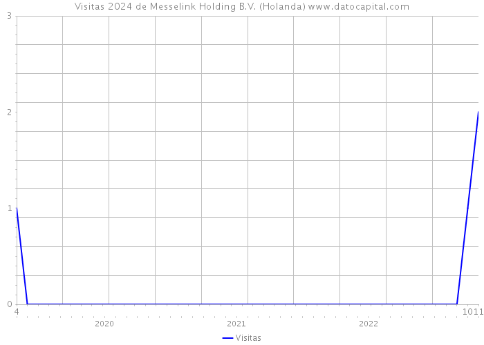 Visitas 2024 de Messelink Holding B.V. (Holanda) 