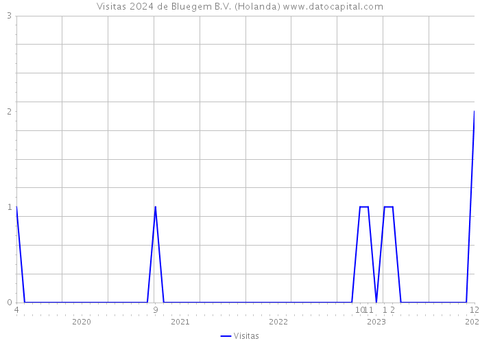 Visitas 2024 de Bluegem B.V. (Holanda) 