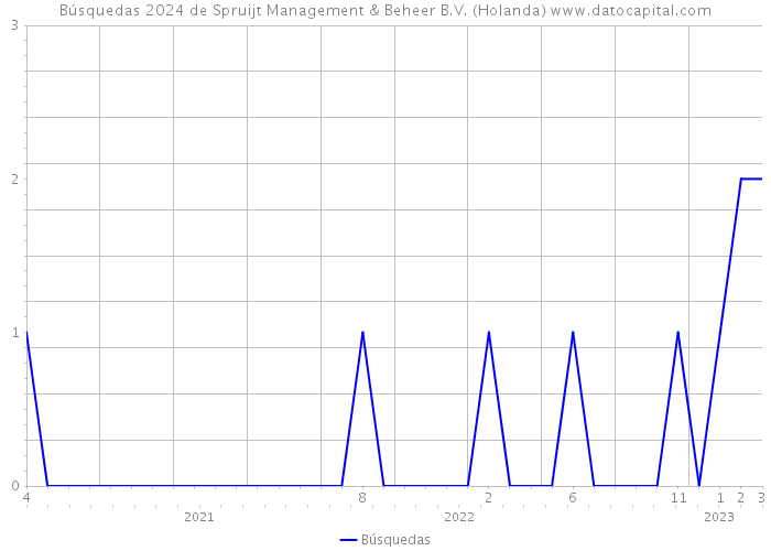 Búsquedas 2024 de Spruijt Management & Beheer B.V. (Holanda) 