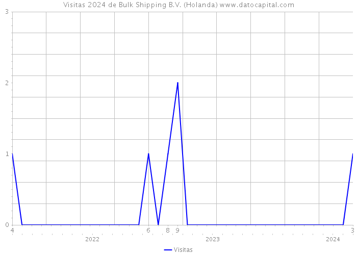 Visitas 2024 de Bulk Shipping B.V. (Holanda) 