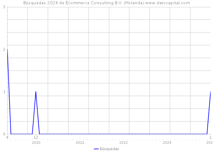 Búsquedas 2024 de Ecommerce Consulting B.V. (Holanda) 