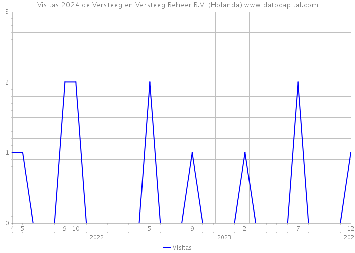 Visitas 2024 de Versteeg en Versteeg Beheer B.V. (Holanda) 