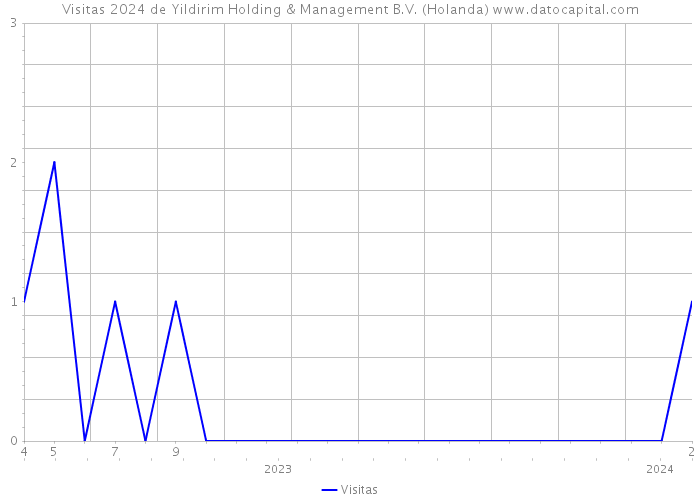 Visitas 2024 de Yildirim Holding & Management B.V. (Holanda) 