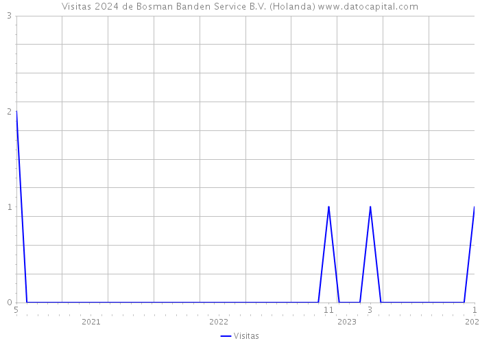 Visitas 2024 de Bosman Banden Service B.V. (Holanda) 