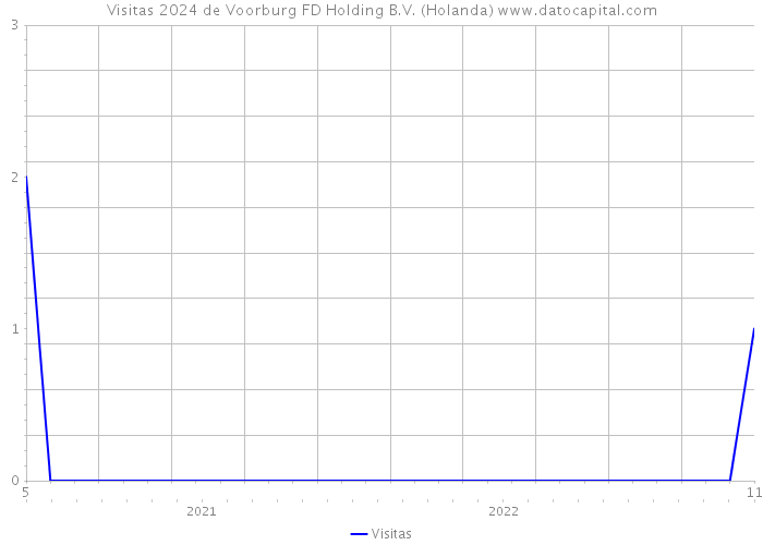 Visitas 2024 de Voorburg FD Holding B.V. (Holanda) 