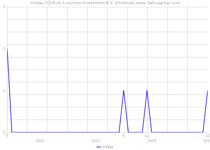 Visitas 2024 de Koevoets Investment B.V. (Holanda) 