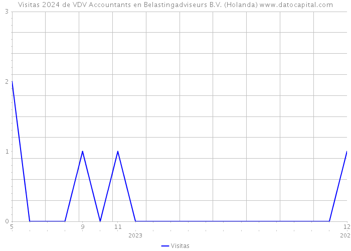 Visitas 2024 de VDV Accountants en Belastingadviseurs B.V. (Holanda) 