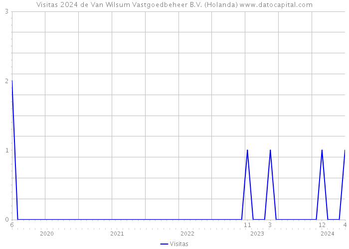 Visitas 2024 de Van Wilsum Vastgoedbeheer B.V. (Holanda) 