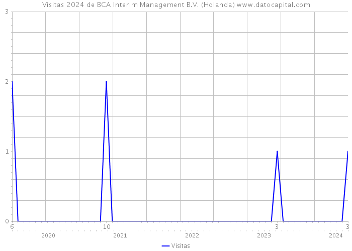 Visitas 2024 de BCA Interim Management B.V. (Holanda) 