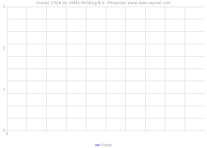 Visitas 2024 de VitMe Holding B.V. (Holanda) 