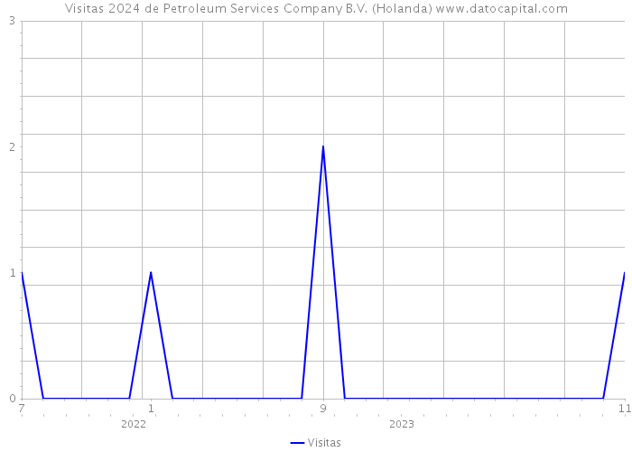Visitas 2024 de Petroleum Services Company B.V. (Holanda) 