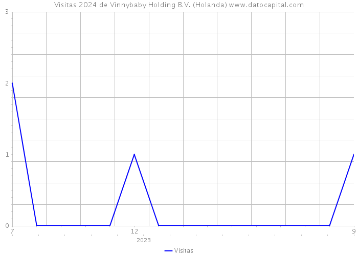 Visitas 2024 de Vinnybaby Holding B.V. (Holanda) 