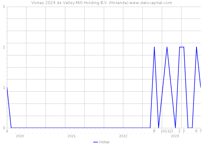 Visitas 2024 de Valley Mill Holding B.V. (Holanda) 