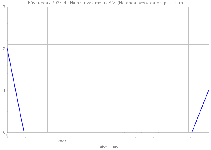 Búsquedas 2024 de Haine Investments B.V. (Holanda) 
