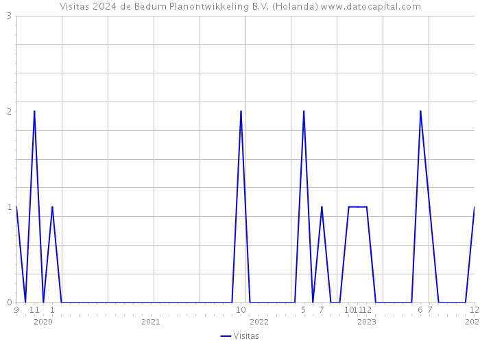Visitas 2024 de Bedum Planontwikkeling B.V. (Holanda) 