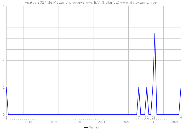 Visitas 2024 de Metamorphose-Brows B.V. (Holanda) 