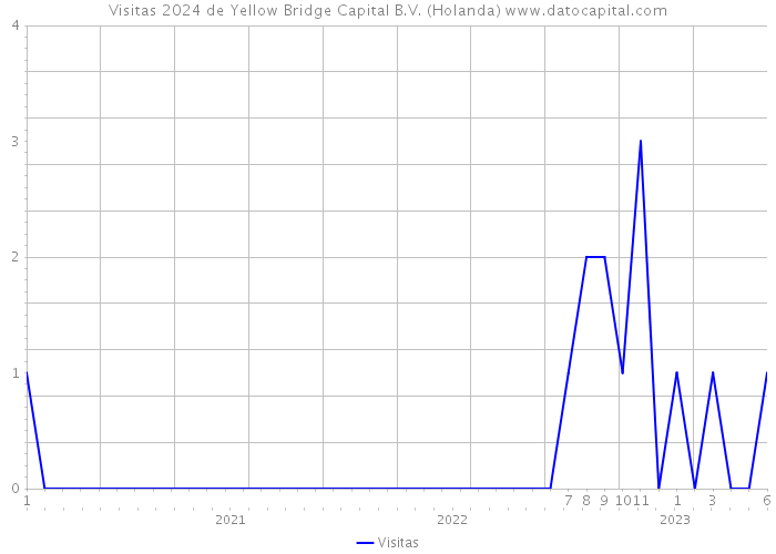 Visitas 2024 de Yellow Bridge Capital B.V. (Holanda) 