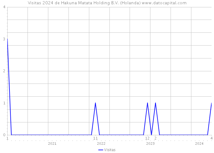 Visitas 2024 de Hakuna Matata Holding B.V. (Holanda) 