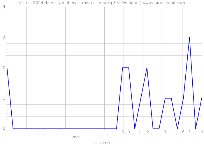 Visitas 2024 de Vastgoed Investments Limburg B.V. (Holanda) 
