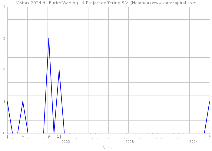 Visitas 2024 de Burim Woning- & Projectstoffering B.V. (Holanda) 