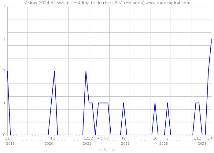 Visitas 2024 de Wellink Holding Lekkerkerk B.V. (Holanda) 