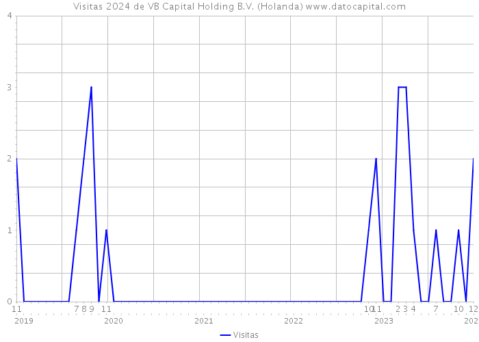 Visitas 2024 de VB Capital Holding B.V. (Holanda) 