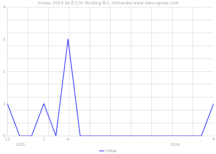 Visitas 2024 de E.C.H. Holding B.V. (Holanda) 