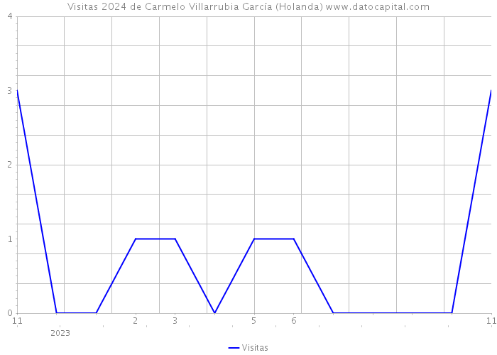 Visitas 2024 de Carmelo Villarrubia García (Holanda) 