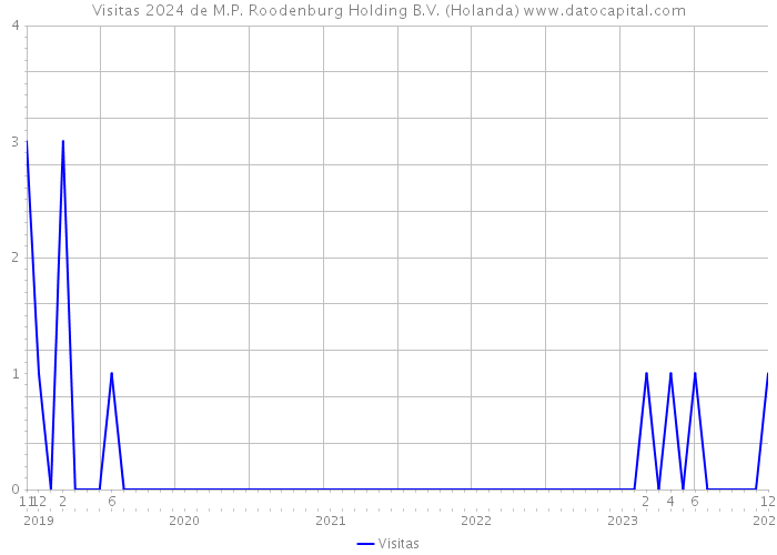 Visitas 2024 de M.P. Roodenburg Holding B.V. (Holanda) 