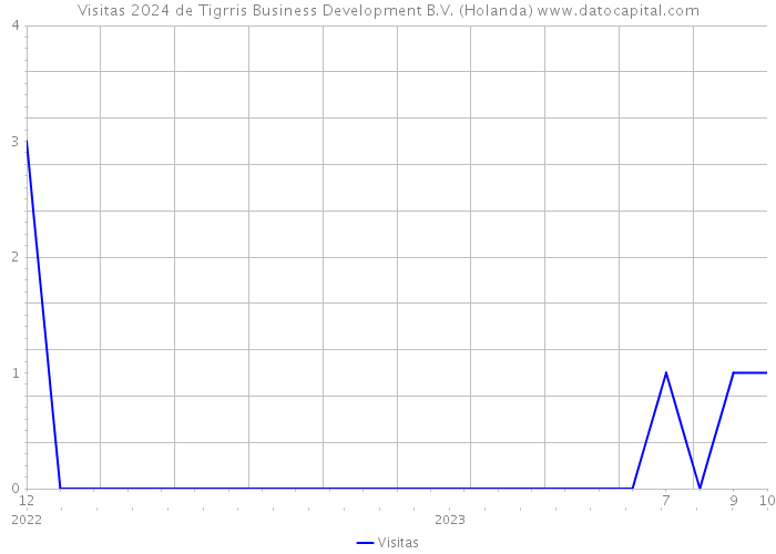 Visitas 2024 de Tigrris Business Development B.V. (Holanda) 