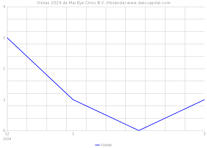 Visitas 2024 de Mai Eye Clinic B.V. (Holanda) 