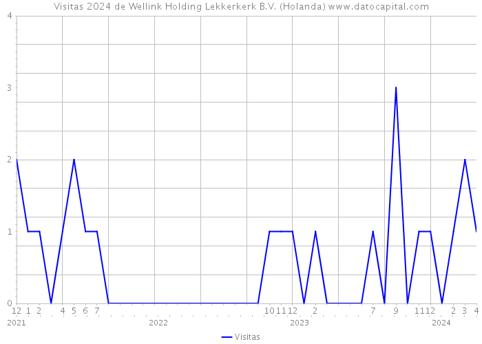 Visitas 2024 de Wellink Holding Lekkerkerk B.V. (Holanda) 