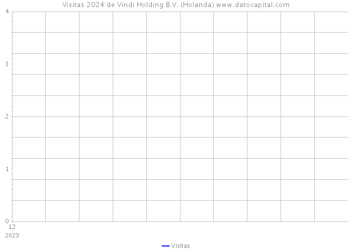 Visitas 2024 de Vindi Holding B.V. (Holanda) 