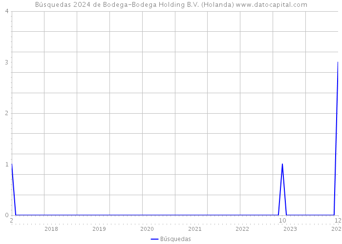 Búsquedas 2024 de Bodega-Bodega Holding B.V. (Holanda) 