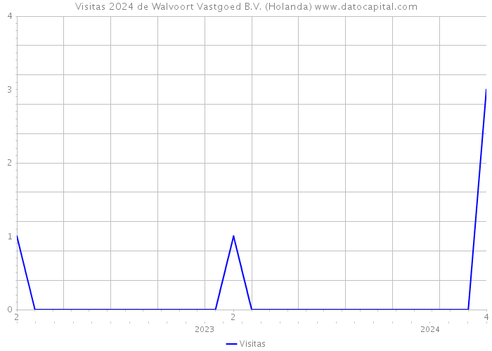 Visitas 2024 de Walvoort Vastgoed B.V. (Holanda) 